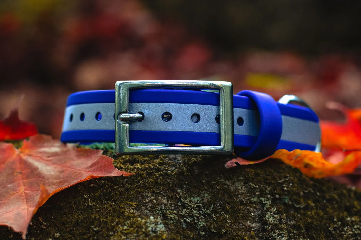 1" Reflective Waterproof BioThane Stainless Steel Buckle Collar