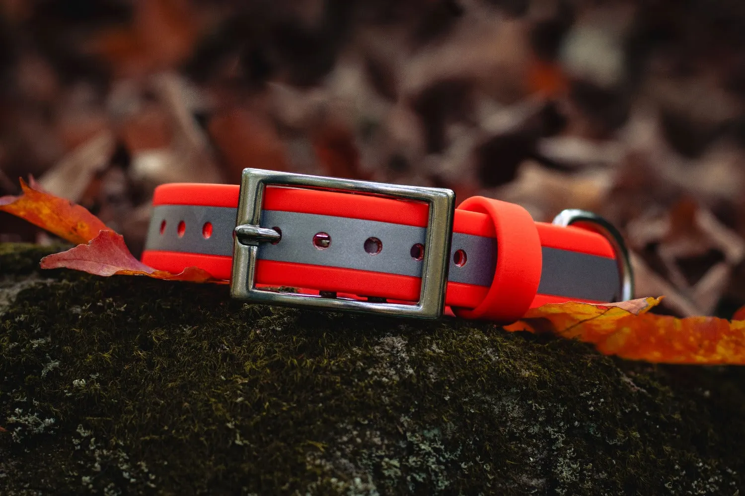1" Reflective Waterproof BioThane Stainless Steel Buckle Collar