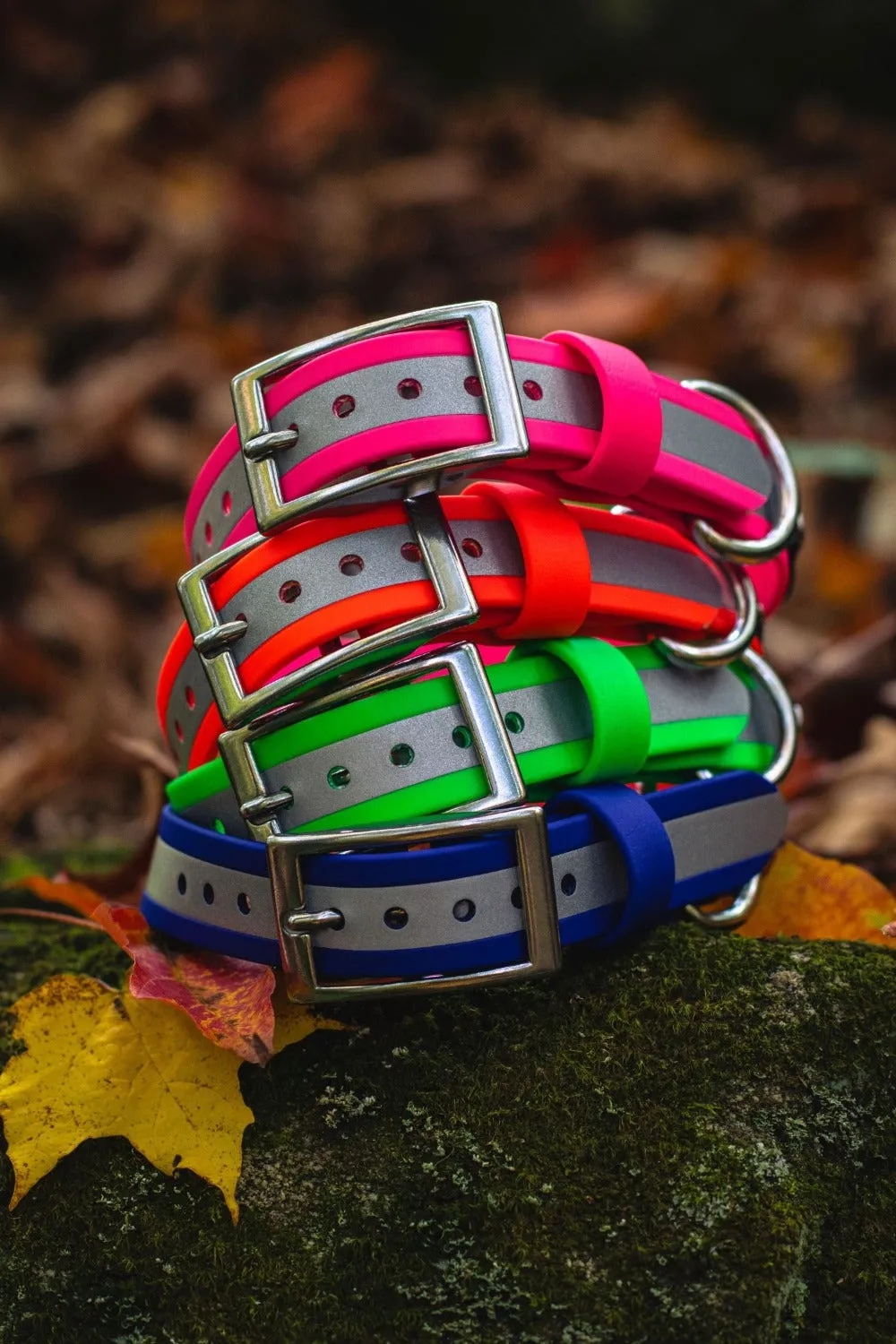 1" Reflective Waterproof BioThane Stainless Steel Buckle Collar