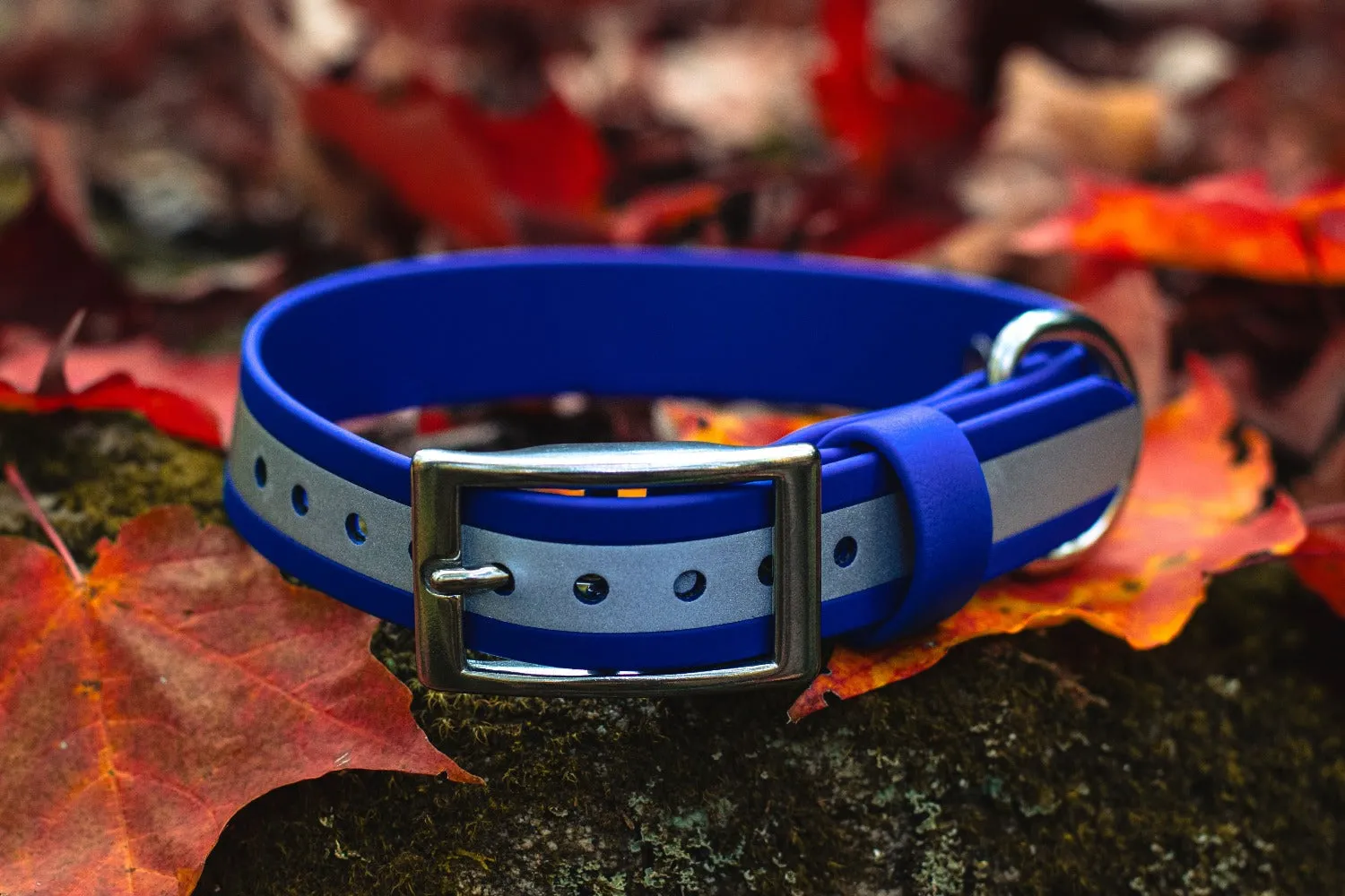 1" Reflective Waterproof BioThane Stainless Steel Buckle Collar