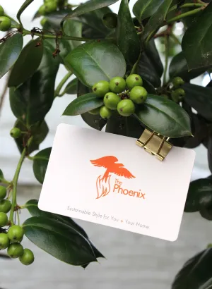 $200 Online Gift Card