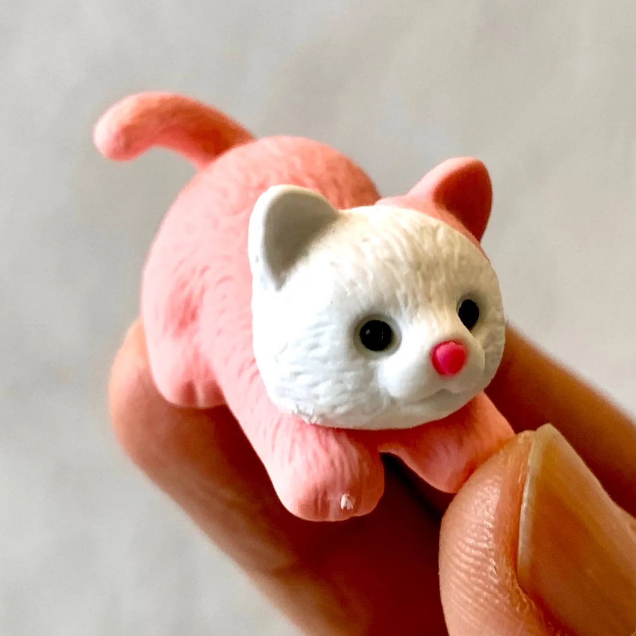 38269 IWAKO PASTEL CATS ERASERS-60