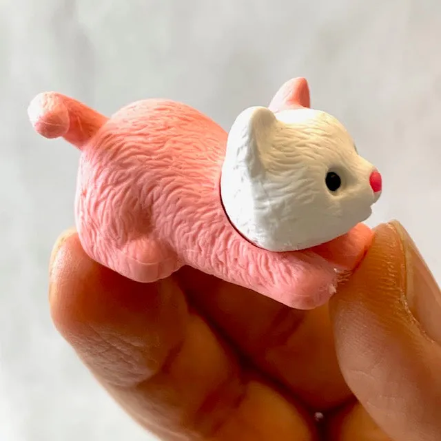 38269 IWAKO PASTEL CATS ERASERS-60