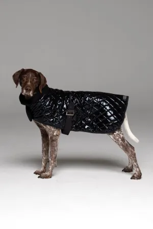 Alpha Dog Coat