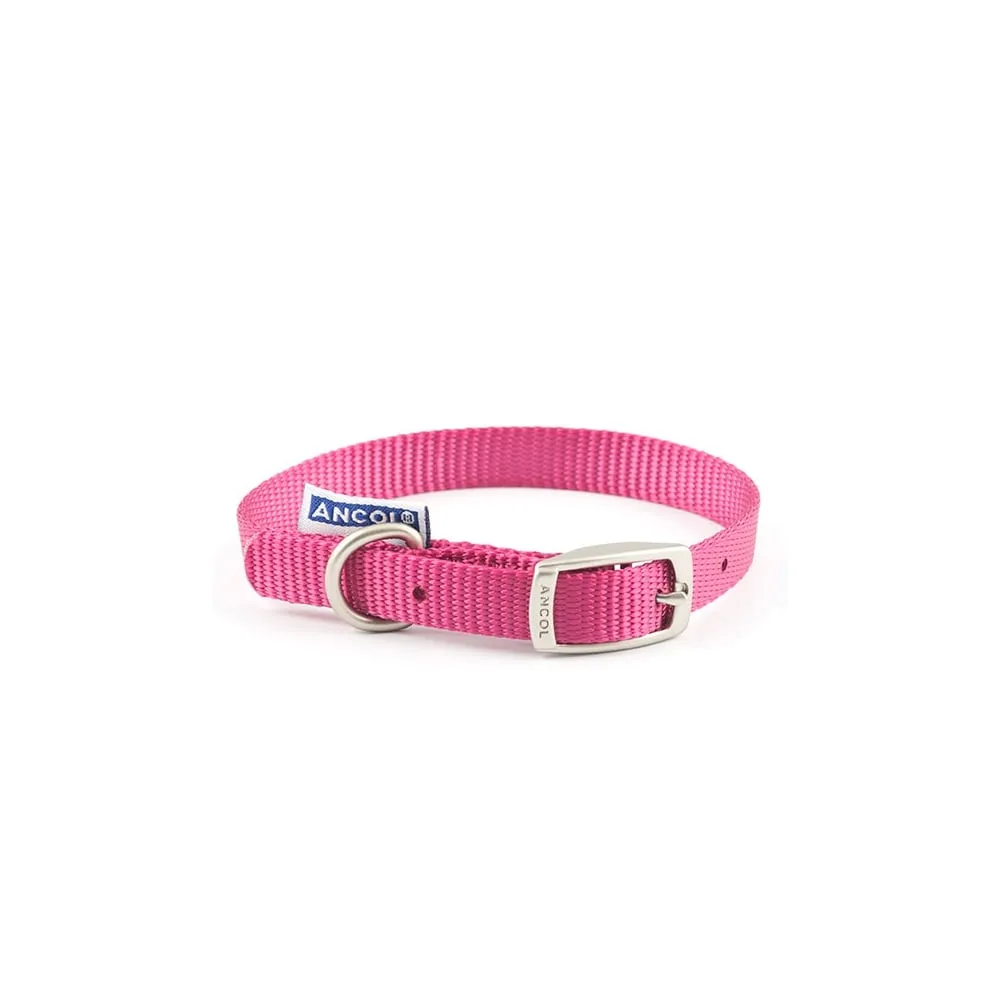 Ancol Nylon Dog Collar