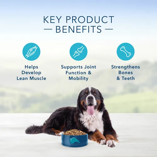 BLUE Life Protection Formula Large Breed Chicken & Brown Rice Recipe Dry Dog Food, 26lb