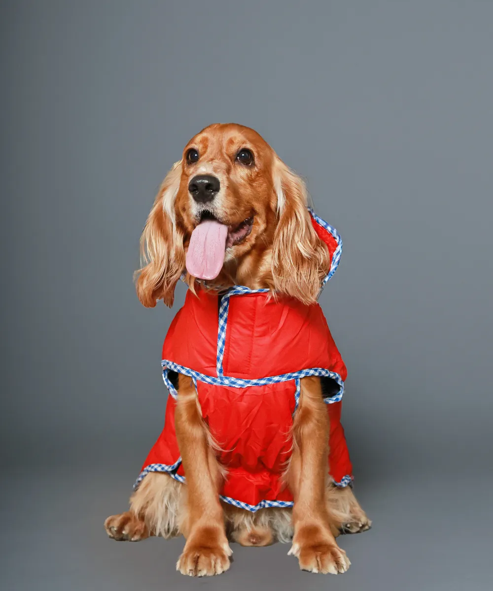 Dog Jacket-Pink