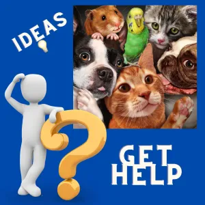 FREE CONSULTATION