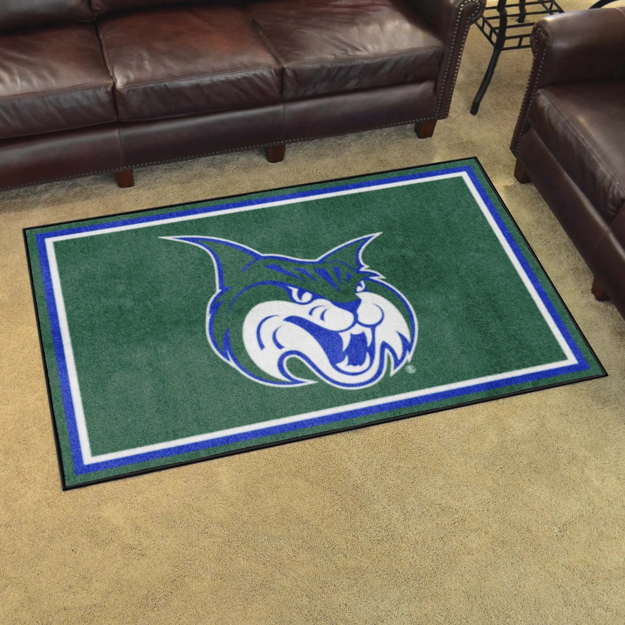 Georgia College Bobcats 4ft. x 6ft. Plush Area Rug