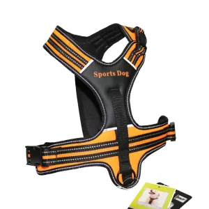 Harness Large Dog Sport