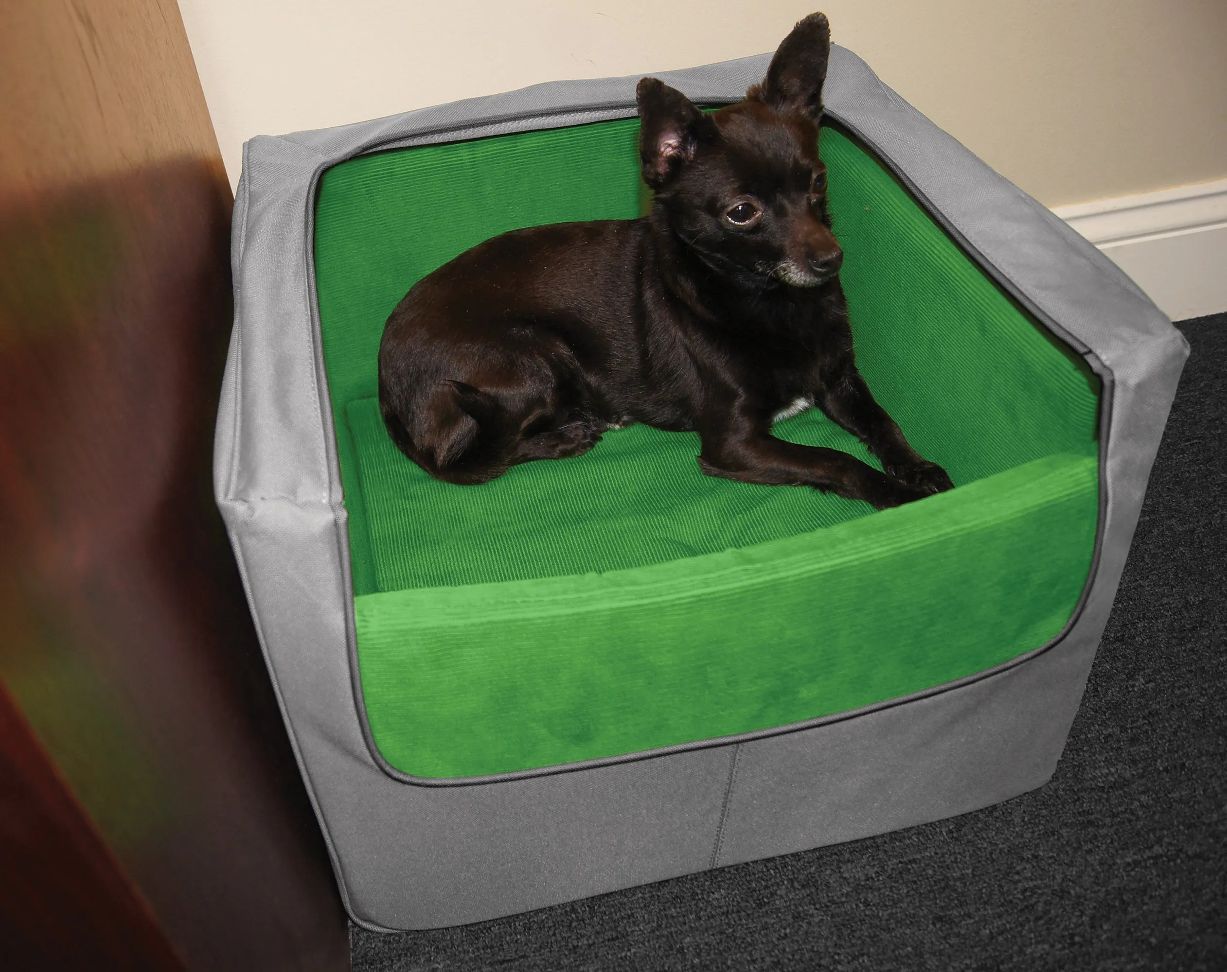 Kurgo Skybox Rear Dog Booster Seat