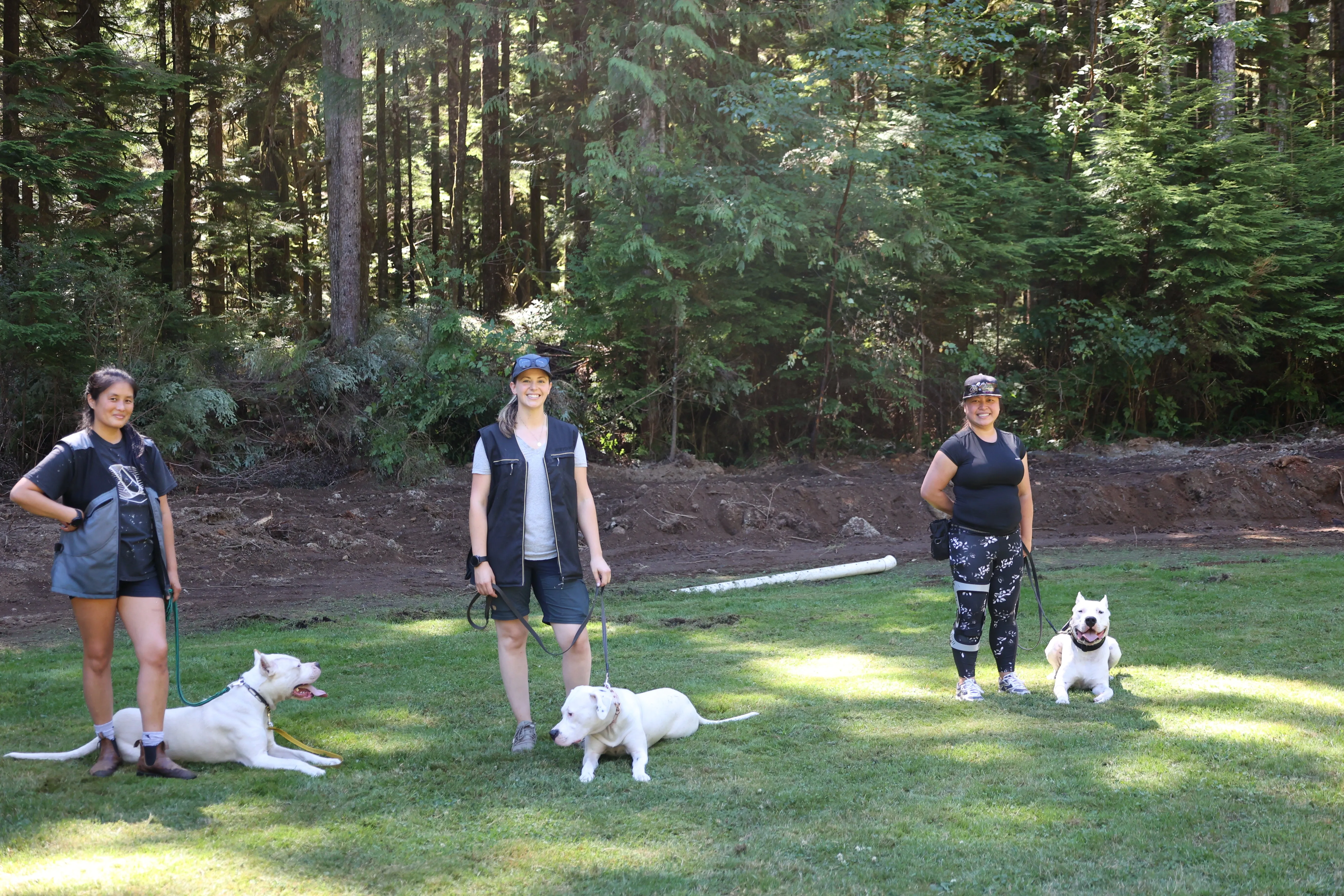 Pet Dog Training 6-Pack