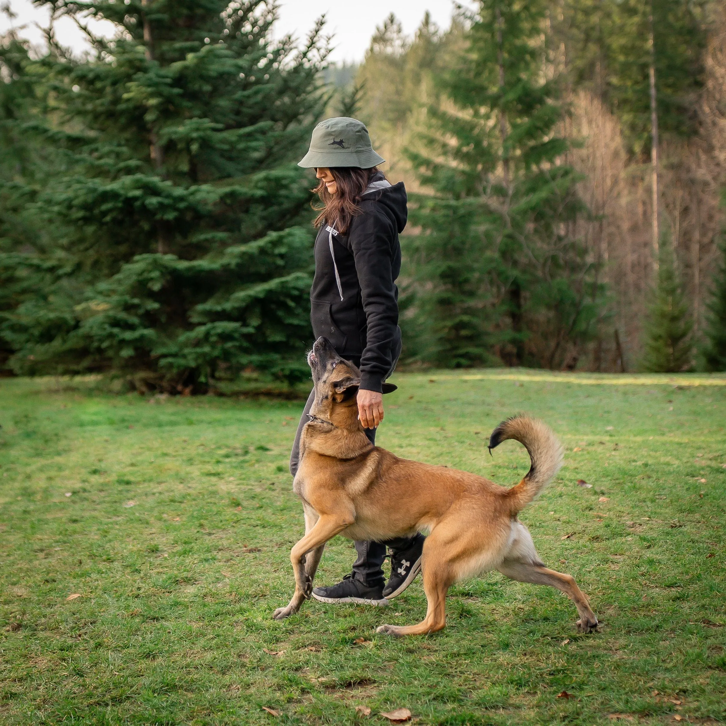 Pet Dog Training 6-Pack