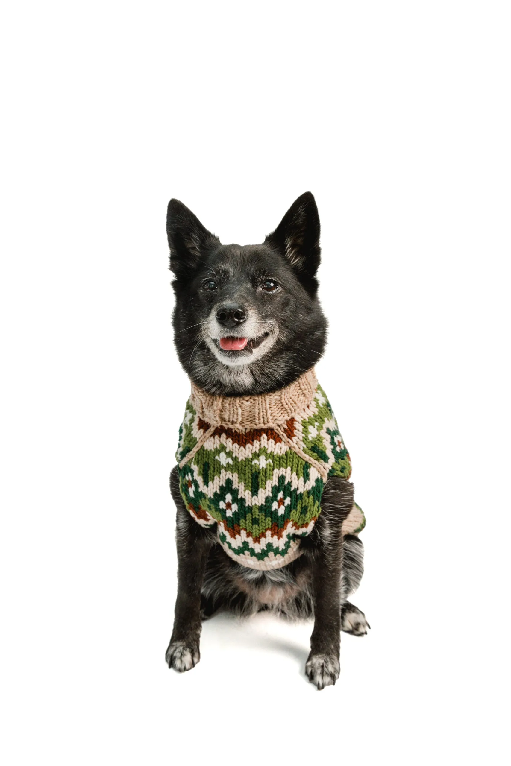 Ragg Wool Fairisle Hand Knit Wool Dog Sweater by Chilly Dog