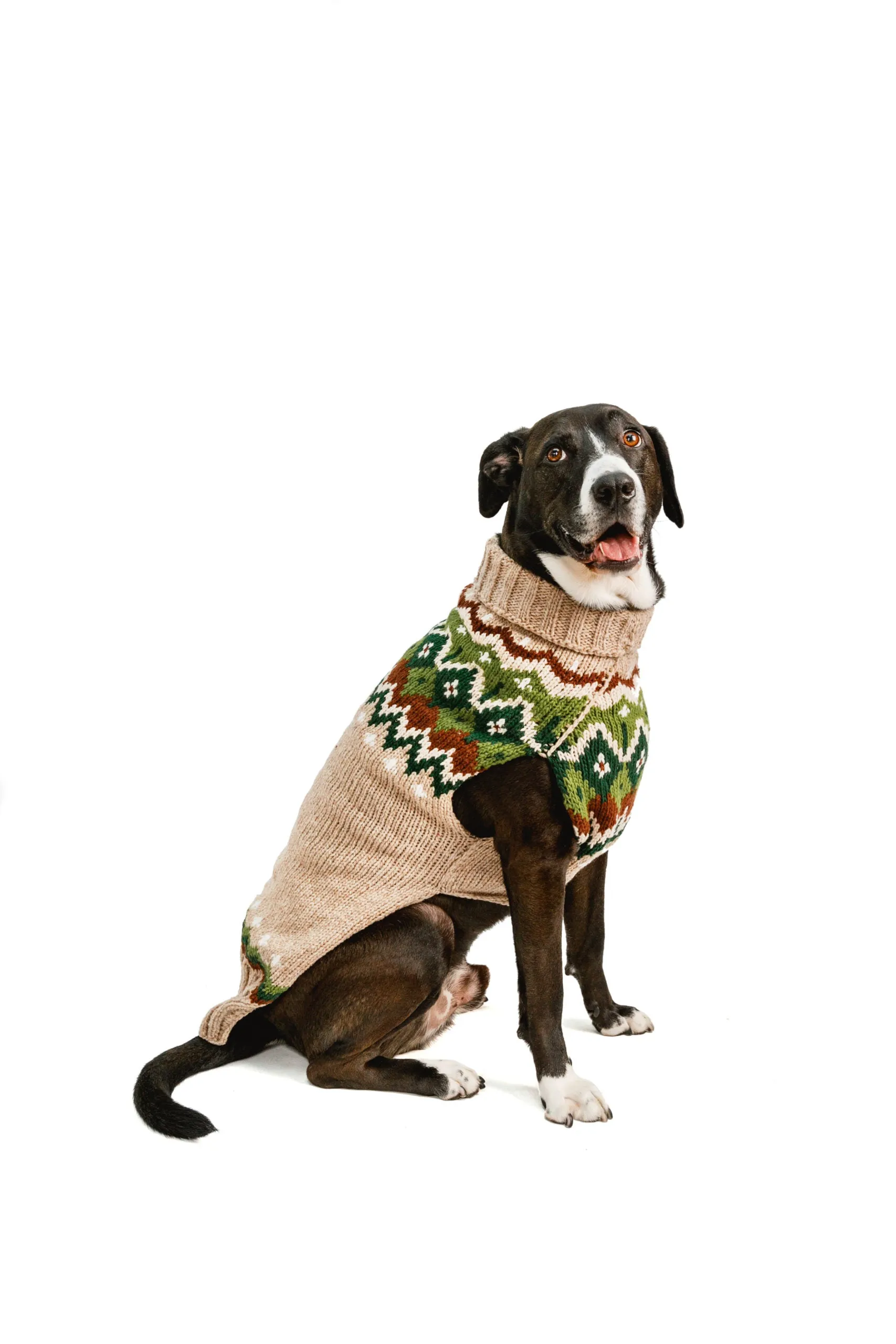 Ragg Wool Fairisle Hand Knit Wool Dog Sweater by Chilly Dog