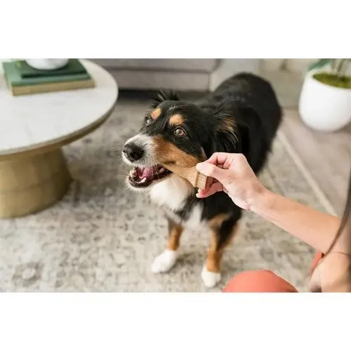 Whimzees Antler Large Dental Chew Dog Treat Pack - 6pk