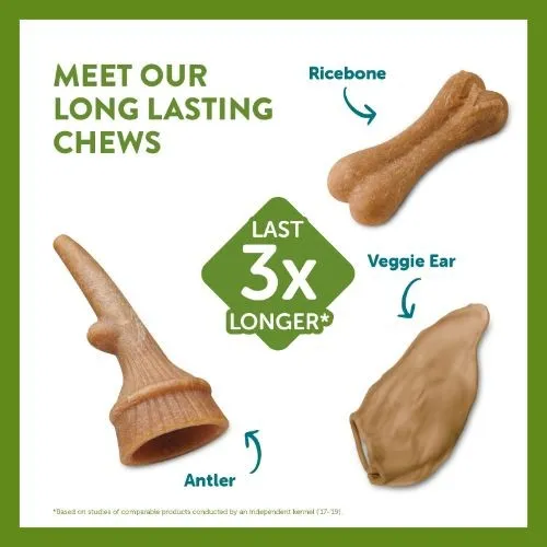 Whimzees Antler Large Dental Chew Dog Treat Pack - 6pk
